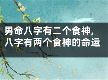 男命八字有二个食神,八字有两个食神的命运