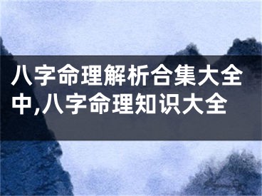 八字命理解析合集大全中,八字命理知识大全