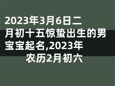 2023年3月6日二月初十五惊蛰出生的男宝宝起名,2023年农历2月初六