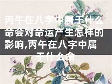 丙午在八字中属于什么命会对命运产生怎样的影响,丙午在八字中属于什么命