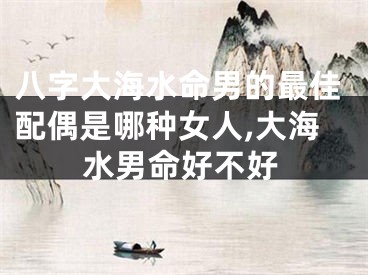 八字大海水命男的最佳配偶是哪种女人,大海水男命好不好