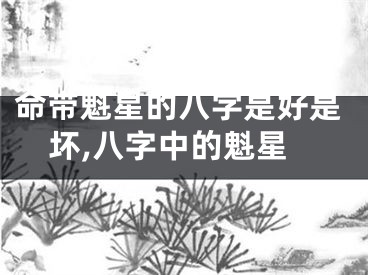 命带魁星的八字是好是坏,八字中的魁星