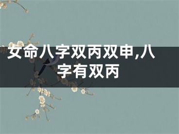 女命八字双丙双申,八字有双丙
