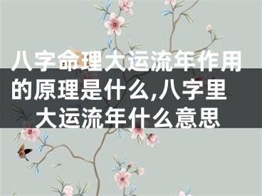 八字命理大运流年作用的原理是什么,八字里大运流年什么意思