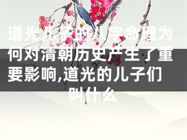 道光儿子的八字命理为何对清朝历史产生了重要影响,道光的儿子们叫什么