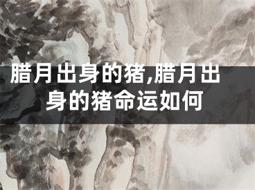 腊月出身的猪,腊月出身的猪命运如何