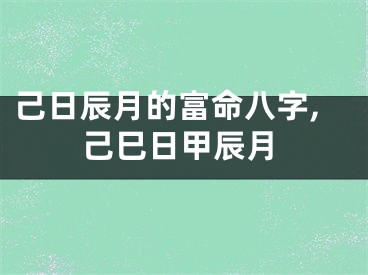 己日辰月的富命八字,己巳日甲辰月