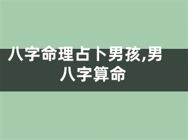 八字命理占卜男孩,男八字算命