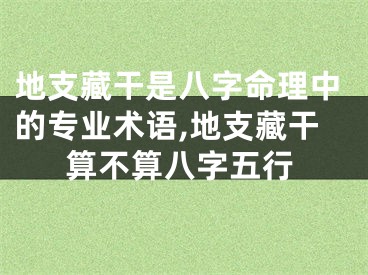 地支藏干是八字命理中的专业术语,地支藏干算不算八字五行