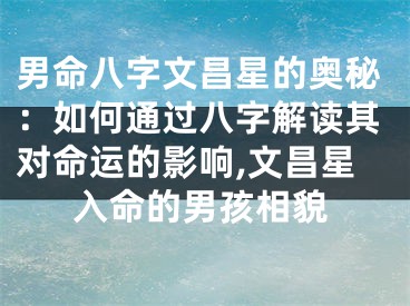 男命八字文昌星的奥秘：如何通过八字解读其对命运的影响,文昌星入命的男孩相貌