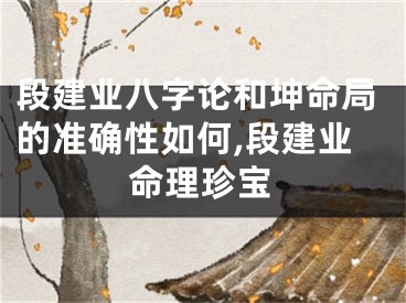 段建业八字论和坤命局的准确性如何,段建业命理珍宝