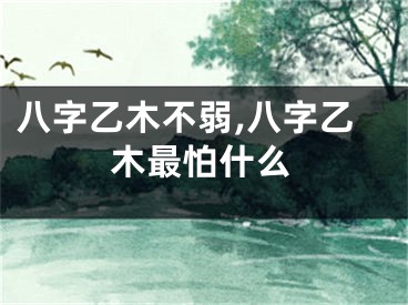 八字乙木不弱,八字乙木最怕什么