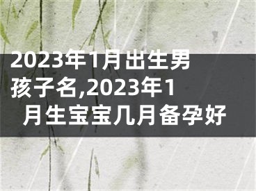 2023年1月出生男孩子名,2023年1月生宝宝几月备孕好