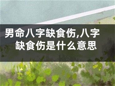 男命八字缺食伤,八字缺食伤是什么意思