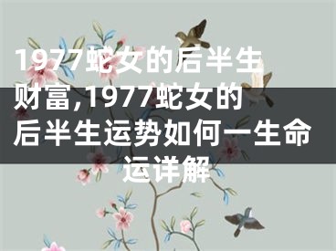 1977蛇女的后半生财富,1977蛇女的后半生运势如何一生命运详解