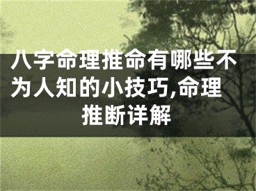 八字命理推命有哪些不为人知的小技巧,命理推断详解
