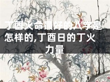 丁酉火命最好的八字是怎样的,丁酉日的丁火力量