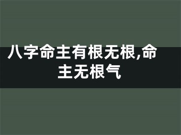 八字命主有根无根,命主无根气