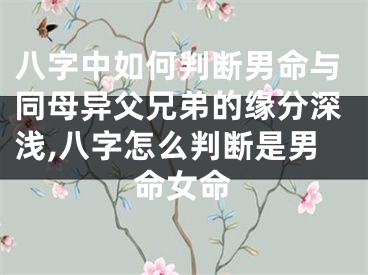 八字中如何判断男命与同母异父兄弟的缘分深浅,八字怎么判断是男命女命