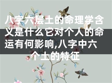 八字六层土的命理学含义是什么它对个人的命运有何影响,八字中六个土的特征