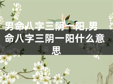 男命八字三阴一阳,男命八字三阴一阳什么意思