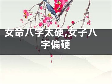 女命八字太硬,女子八字偏硬
