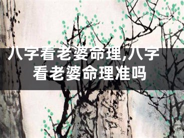 八字看老婆命理,八字看老婆命理准吗