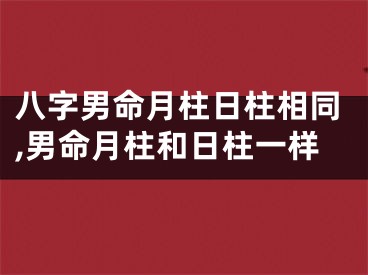 八字男命月柱日柱相同,男命月柱和日柱一样