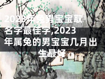 2023年兔男宝宝取名字最佳字,2023年属兔的男宝宝几月出生最好