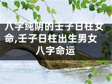 八字纯阴的壬子日柱女命,壬子日柱出生男女八字命运
