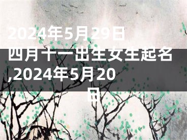 2024年5月29日四月十一出生女生起名,2024年5月20日