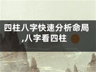 四柱八字快速分析命局,八字看四柱