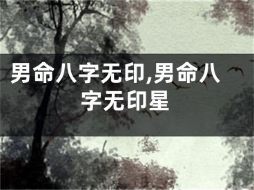 男命八字无印,男命八字无印星