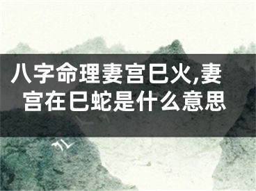 八字命理妻宫巳火,妻宫在巳蛇是什么意思