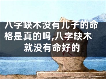 八字缺木没有儿子的命格是真的吗,八字缺木就没有命好的
