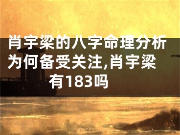 肖宇梁的八字命理分析为何备受关注,肖宇梁有183吗