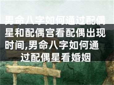 男命八字如何通过配偶星和配偶宫看配偶出现时间,男命八字如何通过配偶星看婚姻