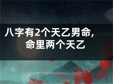 八字有2个天乙男命,命里两个天乙