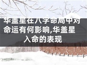 华盖星在八字命局中对命运有何影响,华盖星入命的表现