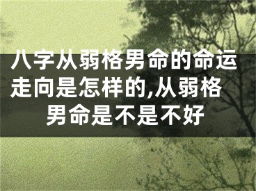 八字从弱格男命的命运走向是怎样的,从弱格男命是不是不好