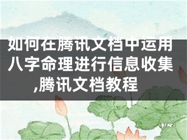 如何在腾讯文档中运用八字命理进行信息收集,腾讯文档教程