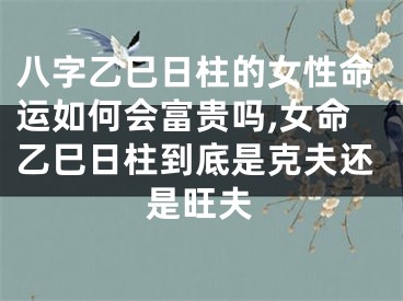 八字乙巳日柱的女性命运如何会富贵吗,女命乙巳日柱到底是克夫还是旺夫