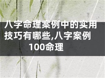 八字命理案例中的实用技巧有哪些,八字案例100命理