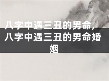 八字中遇三丑的男命,八字中遇三丑的男命婚姻