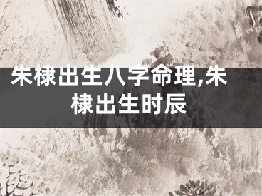朱棣出生八字命理,朱棣出生时辰