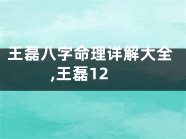 王磊八字命理详解大全,王磊12