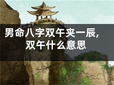 男命八字双午夹一辰,双午什么意思