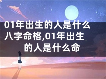 01年出生的人是什么八字命格,01年出生的人是什么命