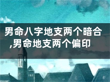 男命八字地支两个暗合,男命地支两个偏印