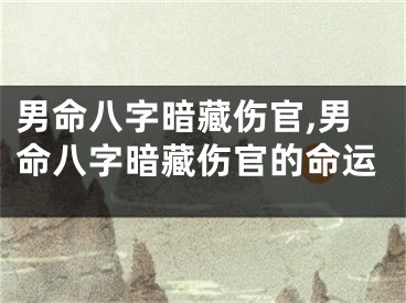 男命八字暗藏伤官,男命八字暗藏伤官的命运